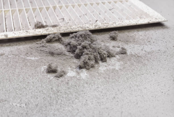 Best Commercial HVAC Duct Cleaning  in Sugar City, ID