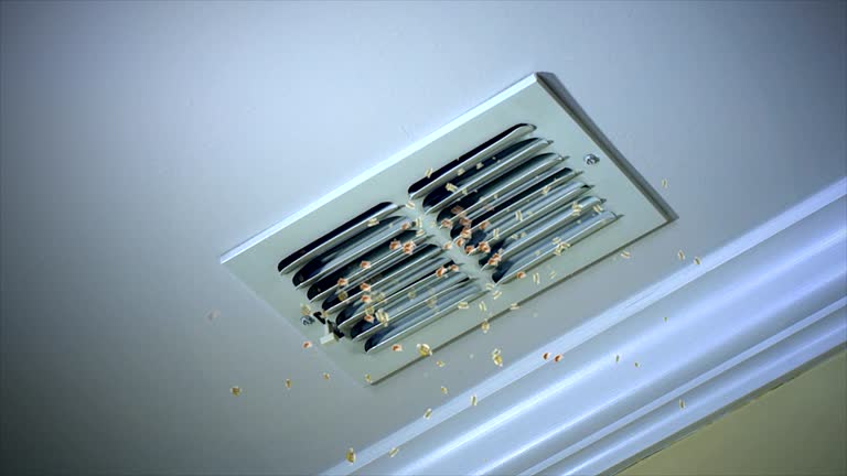 Best HVAC System Cleaning  in Sugar City, ID